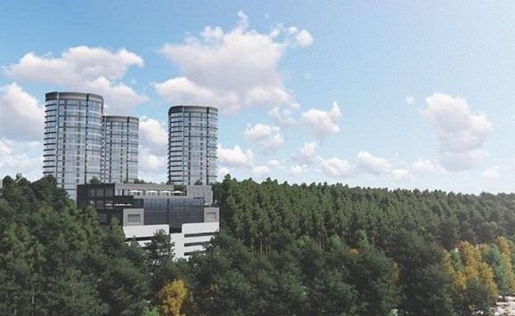 6-sosnivka-710x434-710x434