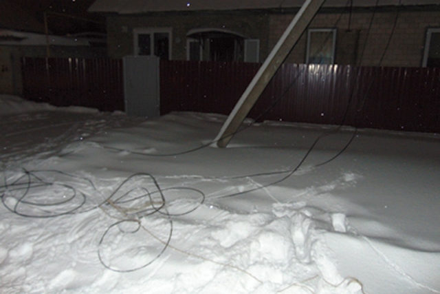 PM185image001