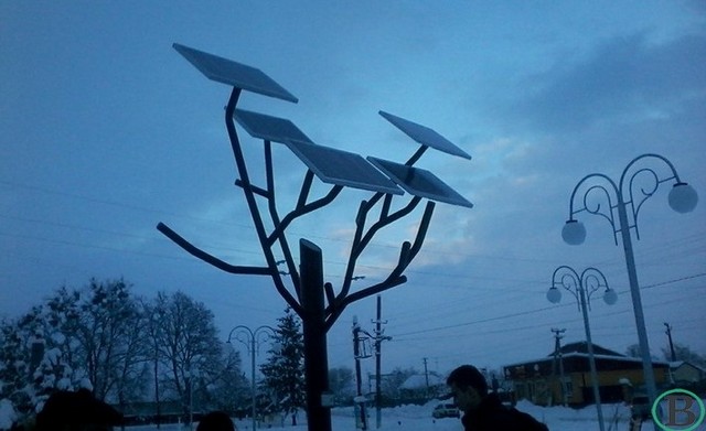 sonjachne-derevo-710x434