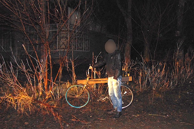 PM316image002