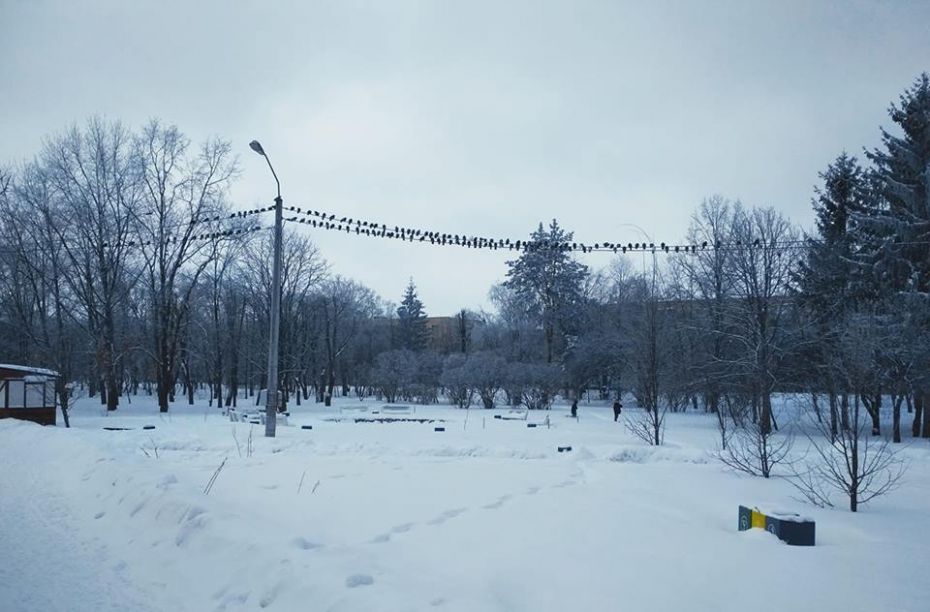 50793915_1977401952314833_7385457055886213120_n