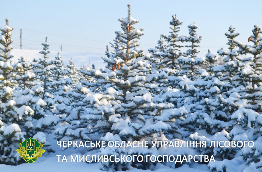 2019-01-08_093415