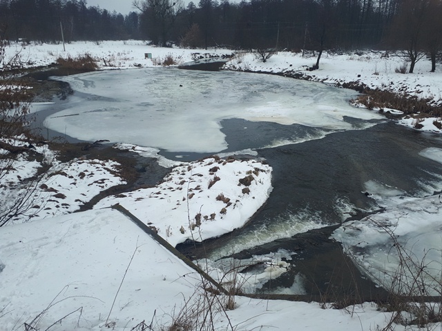 20190130_111508(0)