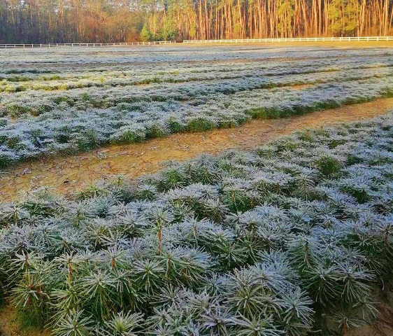 зображення_viber_2020-01-13_14-46-51