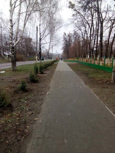 изображение_viber_2020-01-24_06-19-00
