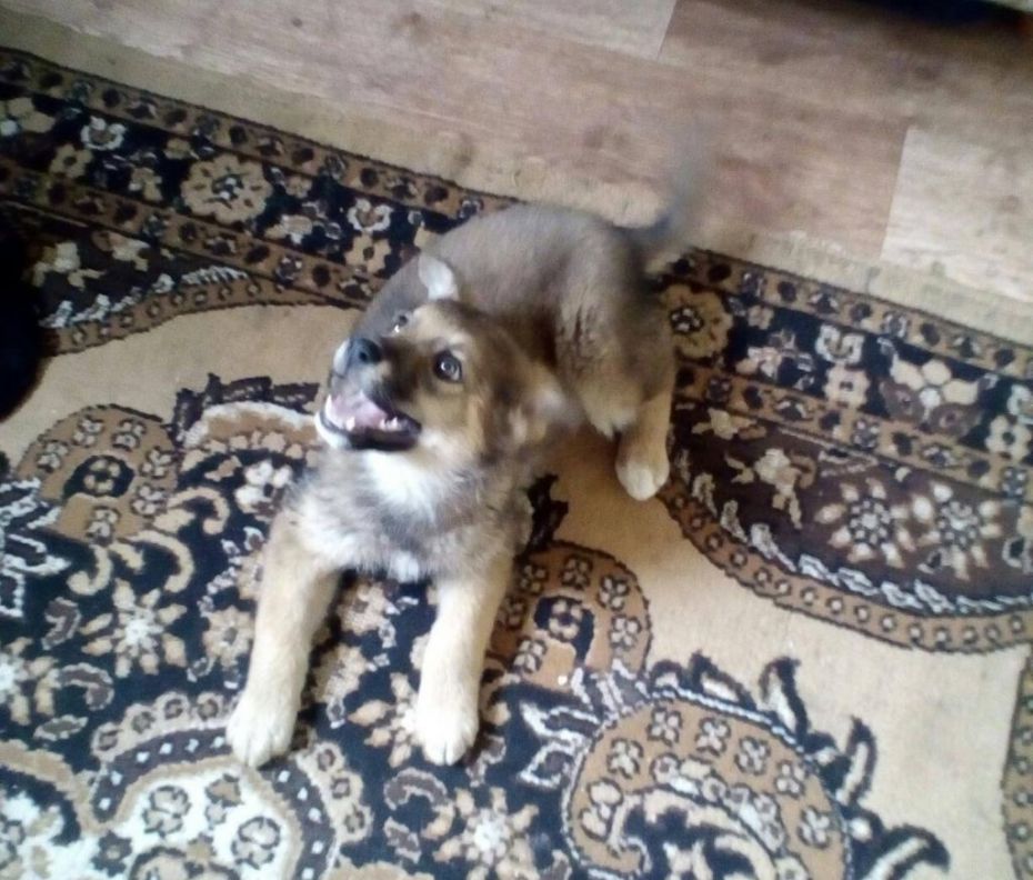 138572502_3693670070719212_3214664350315557284_n