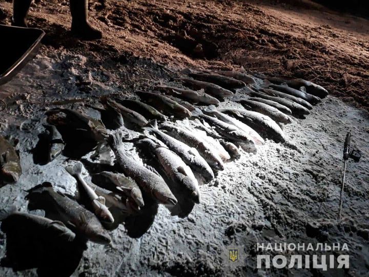 140064202_1048771288941737_1741937854623621802_o