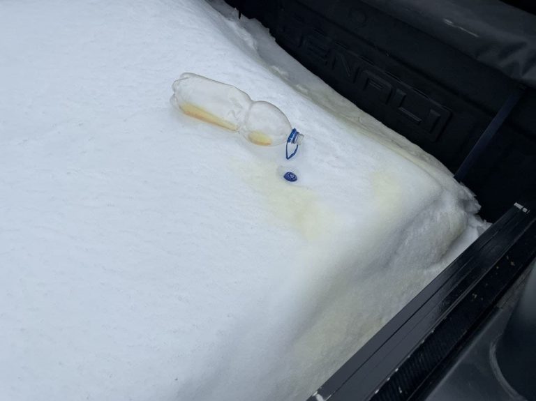 photo_2021-02-23_14-31-10-768x575