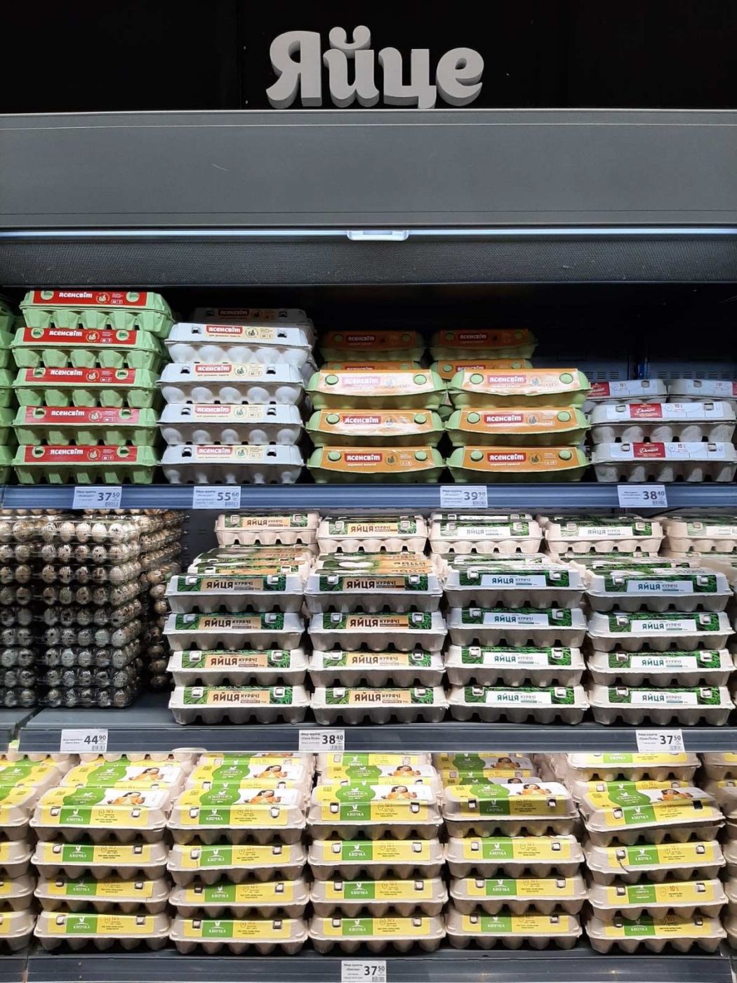 Полки яйца