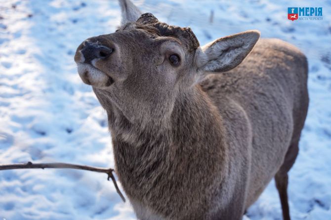 616310644_1183210283966085_7771482734485131625_n