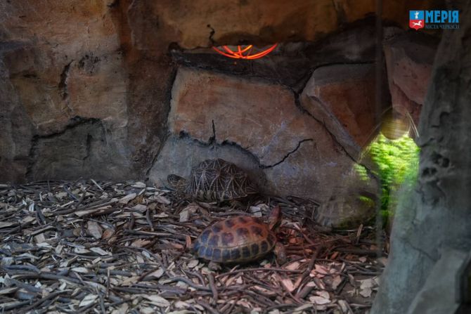 616569855_1183210040632776_2396345987129827233_n