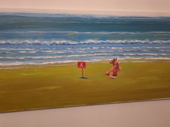 Локація: Дім на Гальшки