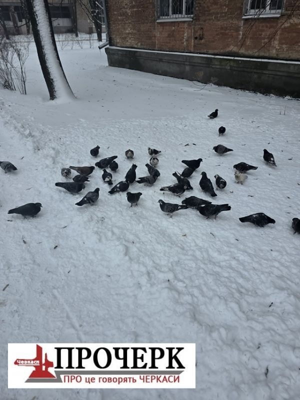 Без назви568