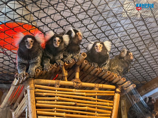 616457608_1183210143966099_350018685592167194_n