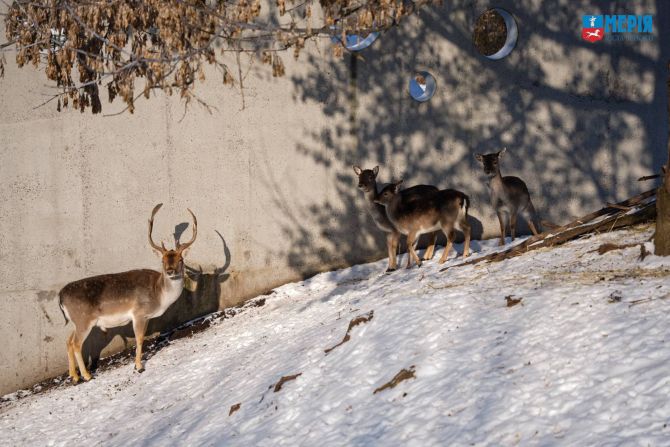 616805687_1183210243966089_6990032118216341305_n