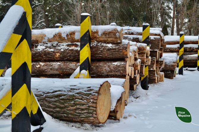 613006703_878845685111722_6887714145572855060_n