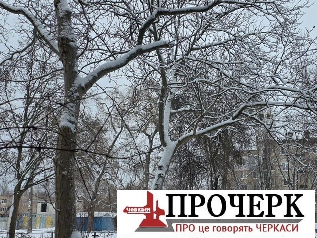 Без назви767