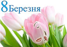 image.php