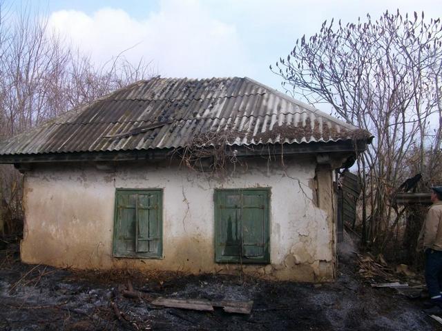 IMGP0924