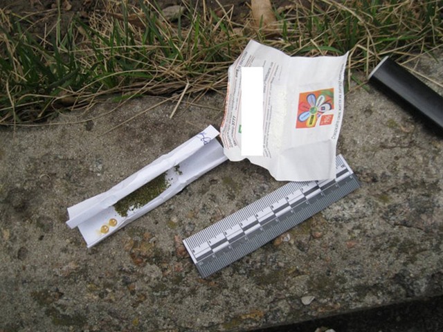 PM353image002