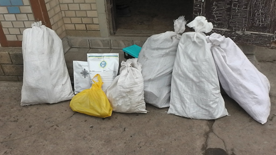 PM308image001