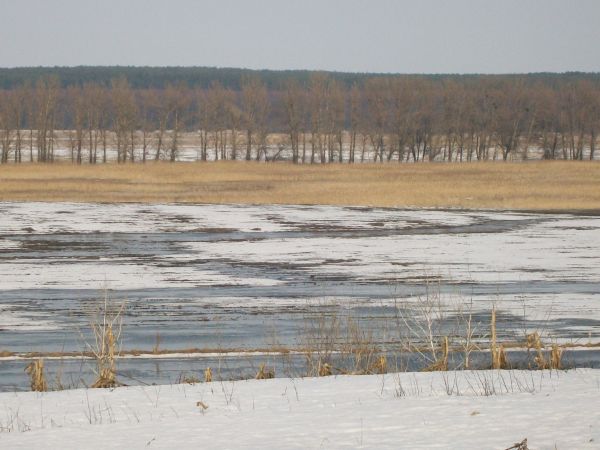 Танення снігового покриву в долині р. Тясмин