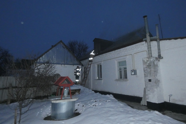 P1020531