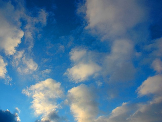 13971074_w640_h640_238410mavr
