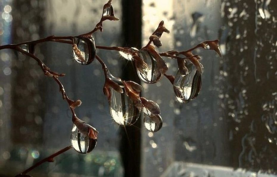 wx1080-2-1024x656