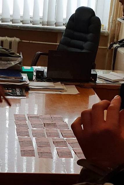 50928412_803937536626556_2064123143148011520_n