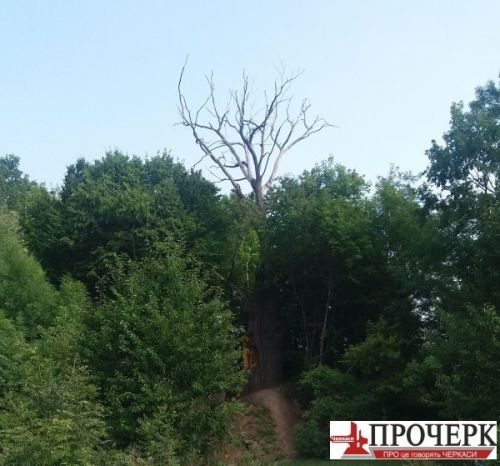 500x466-images-news-072017-6e186a790b2aa27bacb19e0b7c736e4c
