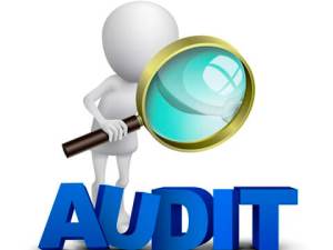 audit-kachestva-11