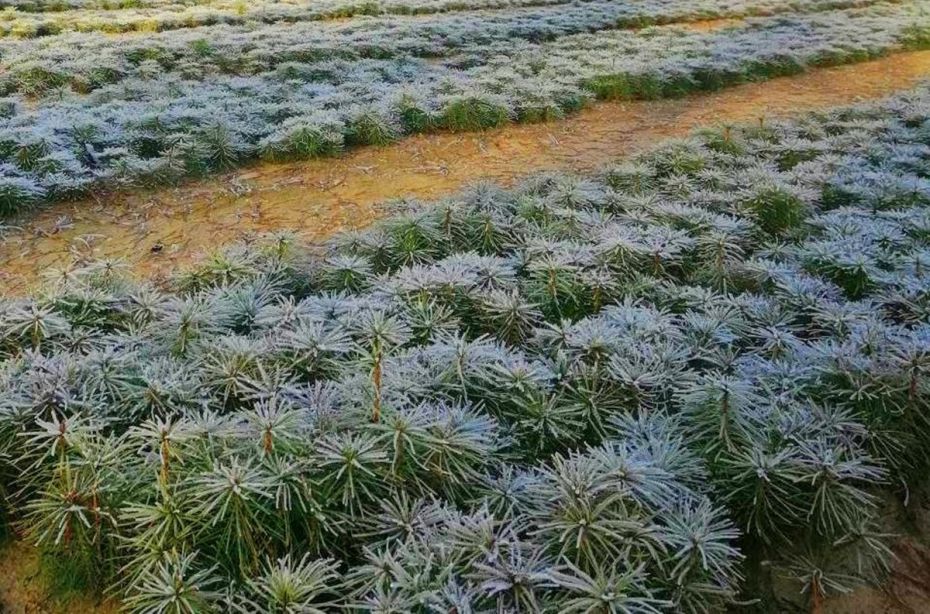 зображення_viber_2020-01-13_14-46-51