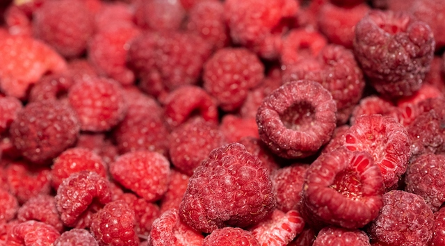 na-cherkashchini-zavod-iz-zamorozhuvannya-yagid-vdvichi-zbilshuye-potuzhnosti-liniy