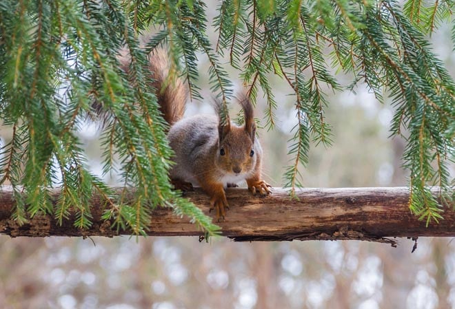 274373712_329899802511100_6571976353034825327_n