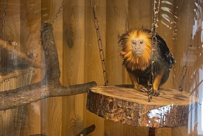 photo_2026-02-18_11-20-51