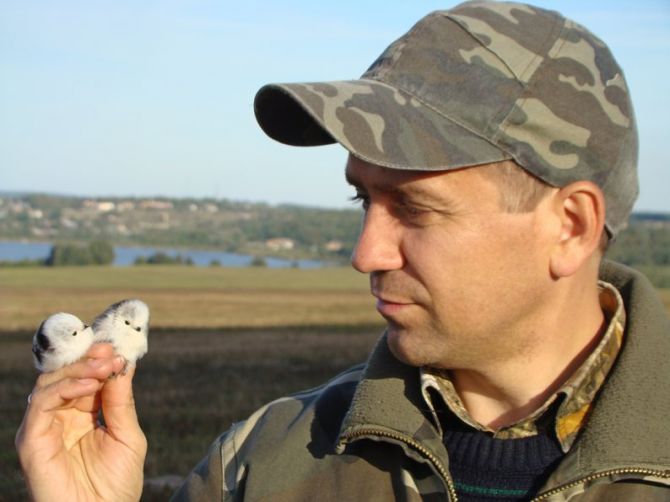 Синиці довгохвості на руці у Максима Гаврилюка. Фото Сергій Домашевский
