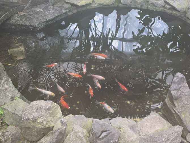 photo_2026-02-17_15-27-16