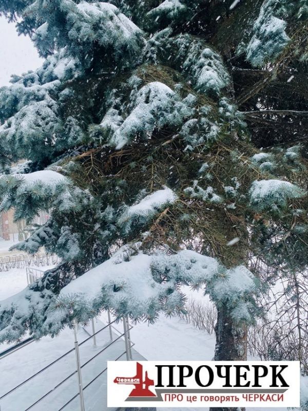 photo_2026-02-06_12-04-14