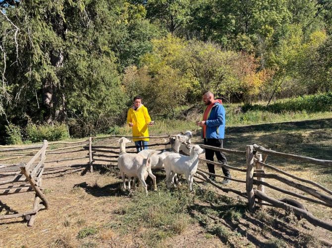 Родина, яка переїхала з Києва, створила козину ферму на Черкащині. Суспільне Черкаси/Ольга Лисенко
