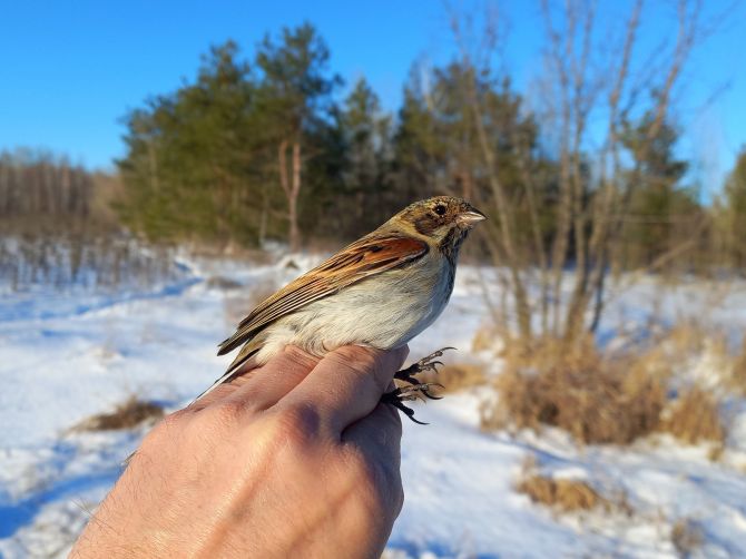 640618380_3993914824232490_5306615193874577232_n