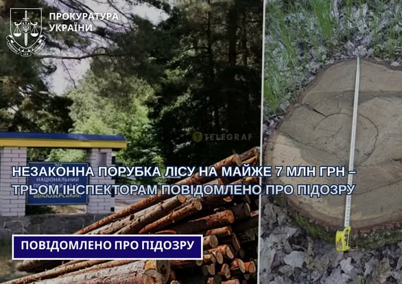 637716090_1355443239943302_6672591677522792492_n