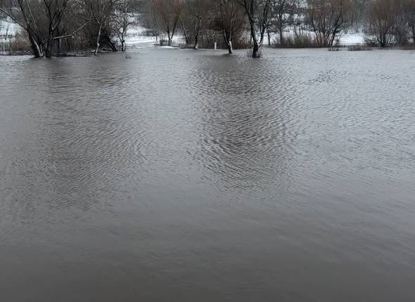 635130534_1311556907658985_1374176685574407057_n