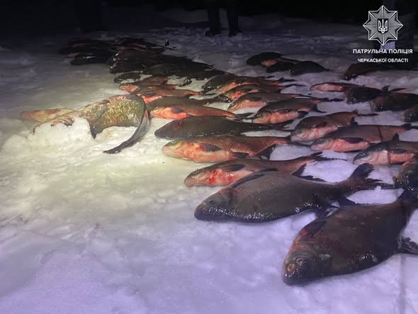 641311552_1337924441713186_2621250979445190819_n