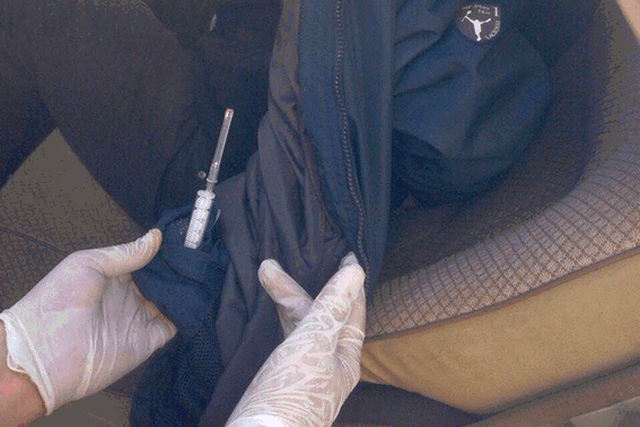 PM266image002