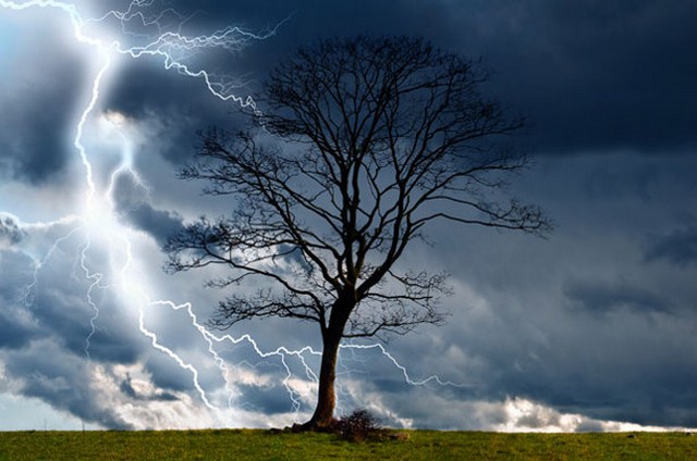 tree-and-storm