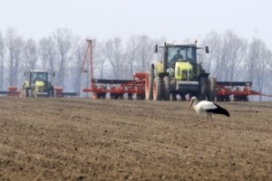 82-300x200