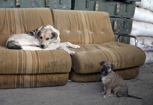 30743400_188134915321208_6813033645855473664_n