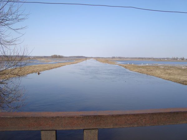 DSC00610