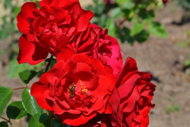 2-1024x683-1-e1524727517315